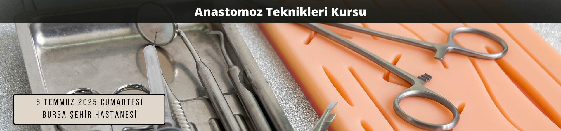 Anastomoz Kursu