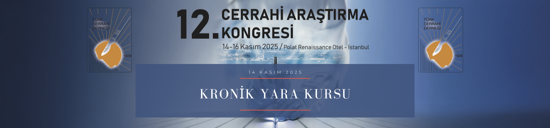 Kronik Yara Kursu