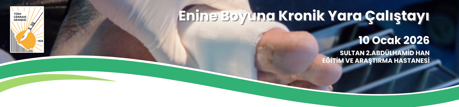 Enine Boyuna Kronik Yara Çalıştayı